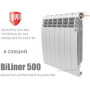 Биметаллический радиатор 8 секций ✓ BiLiner 500 ✓ Белый ✓ Дизайн-радиатор ✓ Глубина секции 87 мм ✓ Подключения боковое ✓ Royal Thermo ✓ Италия